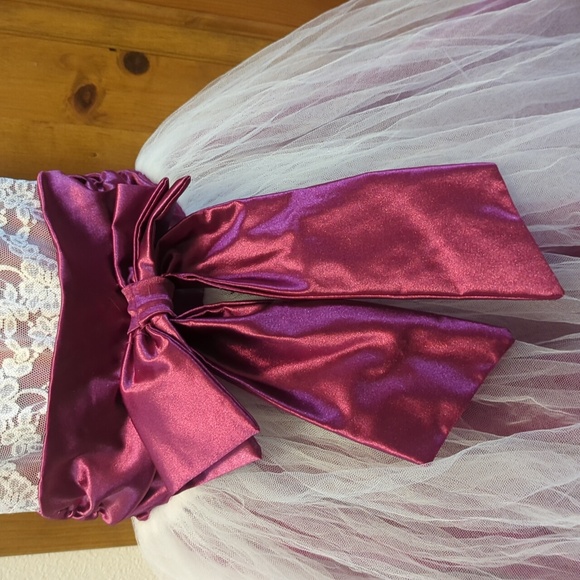 Weissman costume - Picture 3 of 3